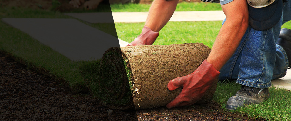 Camden Landscapers